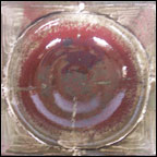 Untitled Bowl (Red) - detail