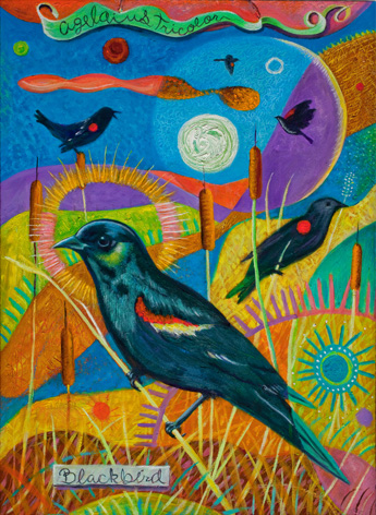 Tricolor Blackbird