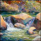 Autumn Stream San Antonio Creek