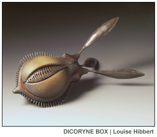 Dicoryne Box | Louise Hibbert