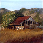Carol Clarke - The Barn on Santa Ana