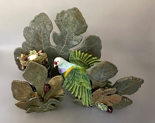 Ellen Rundle - Mariana Fruit Dove