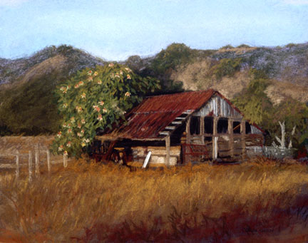 Carol Clarke - The Barn on Santa Ana